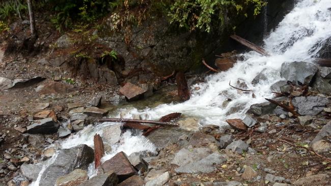 Creek to cross on Ira Spring Trail