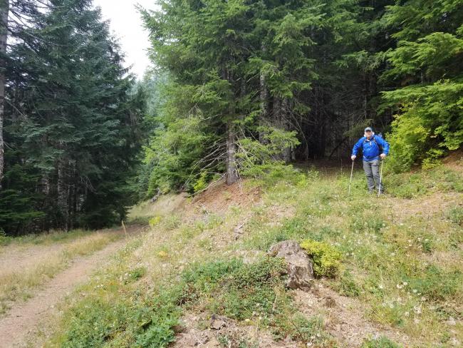 Cat track leading to the summit