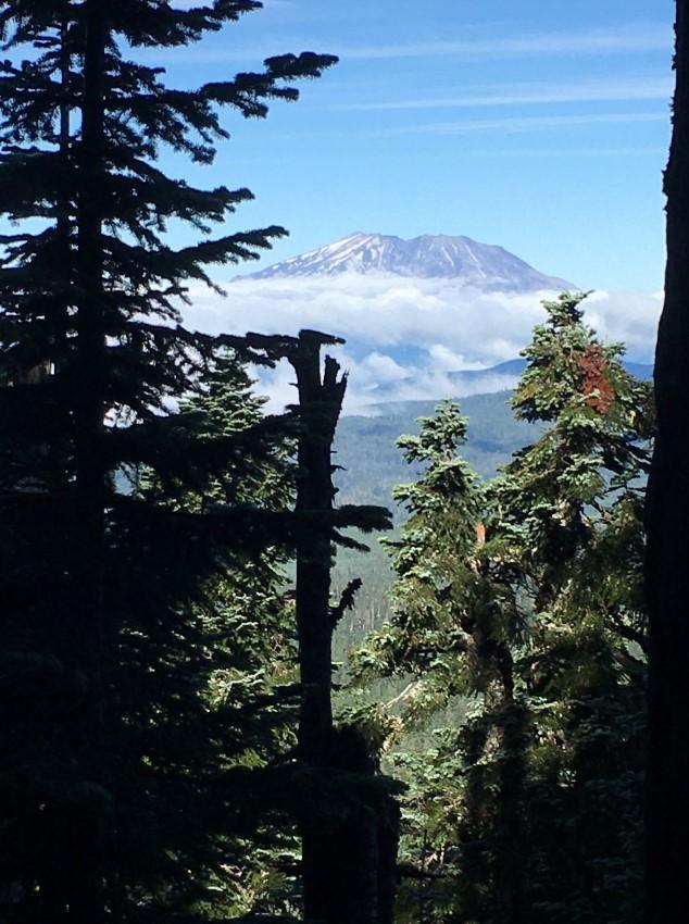 Sawtooth Mt. St. Helens