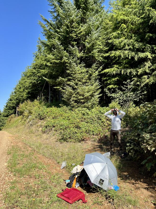 Top of a hill with a gravel road and trees. Radio equipment in foreground