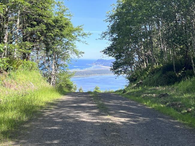 A view of Netarts Bay from a shady road