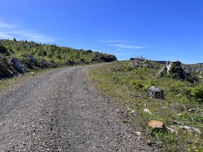 A view of a steep gravel road, from the bottom.