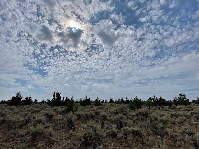 Atop West Butte...